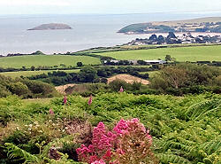 Cerrig Llwydion